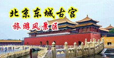 IP查询中国北京-东城古宫旅游风景区